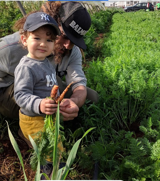 Vivez une Expérience Unique à la Ferme Bleue – Cueillette de Fruits et Légumes en Famille !
