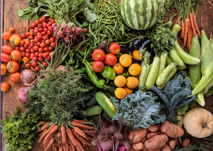 Vivez une Expérience Unique à la Ferme Bleue – Cueillette de Fruits et Légumes en Famille !
