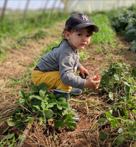 Vivez une Expérience Unique à la Ferme Bleue – Cueillette de Fruits et Légumes en Famille !