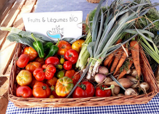 Vivez une Expérience Unique à la Ferme Bleue – Cueillette de Fruits et Légumes en Famille !