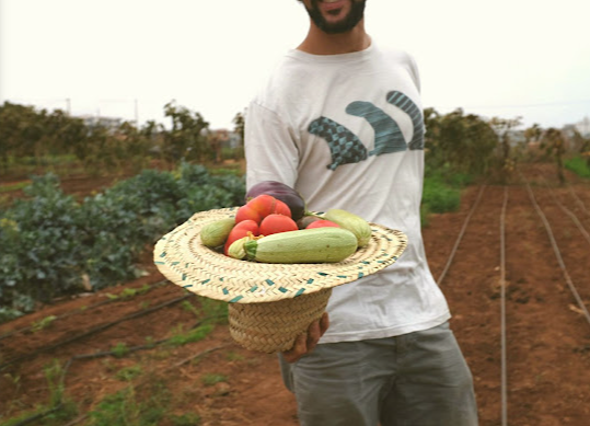 Vivez une Expérience Unique à la Ferme Bleue – Cueillette de Fruits et Légumes en Famille !
