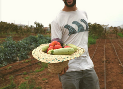 Vivez une Expérience Unique à la Ferme Bleue – Cueillette de Fruits et Légumes en Famille !