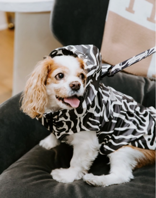 Poncho Imperméable "Pattes d'Artiste" pour Chien